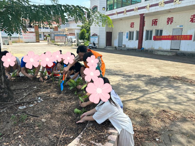 綠植種植.jpg