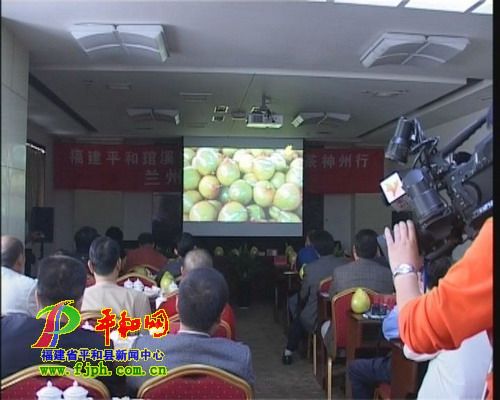 蘭州推介—蜜柚神州行