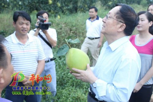 洪昭光贊賞琯溪蜜柚