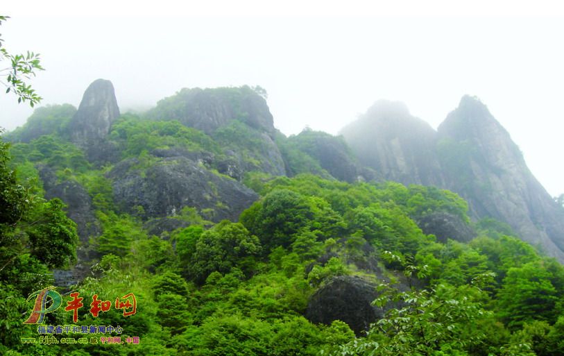 駱駝峰