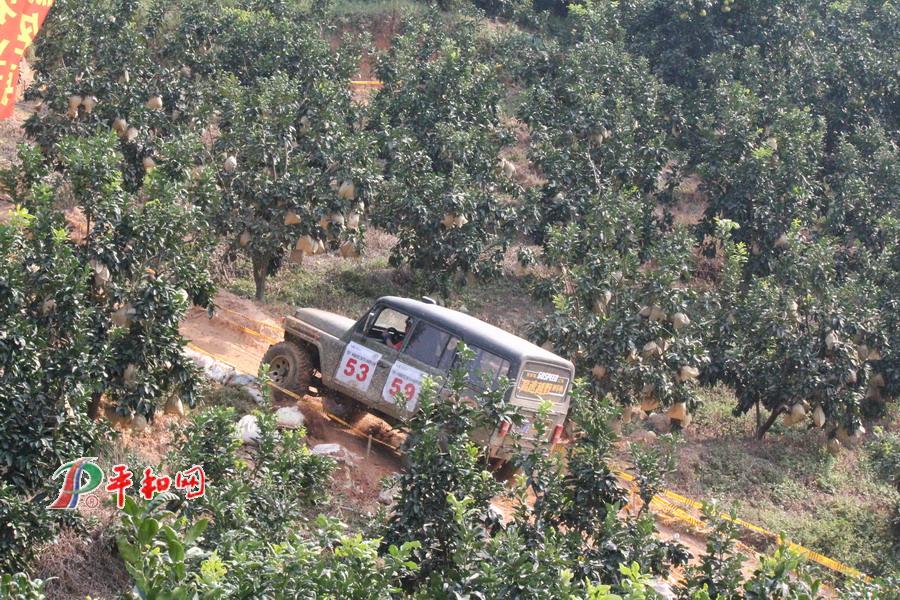 汽車山地越野大獎(jiǎng)賽