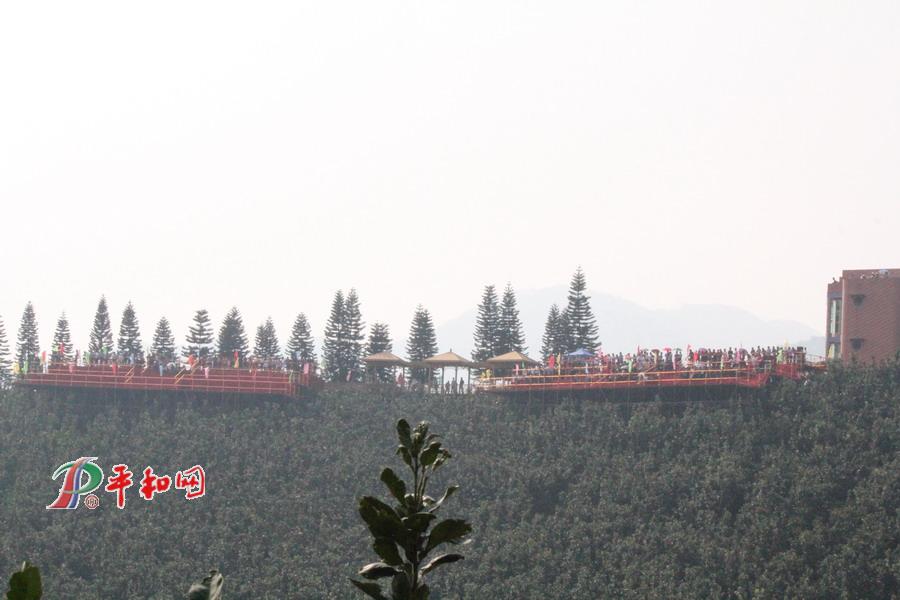 汽車山地越野大獎(jiǎng)賽