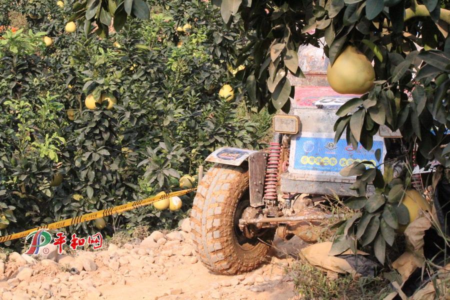 汽車山地越野大獎(jiǎng)賽