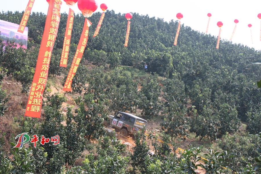 汽車山地越野大獎(jiǎng)賽