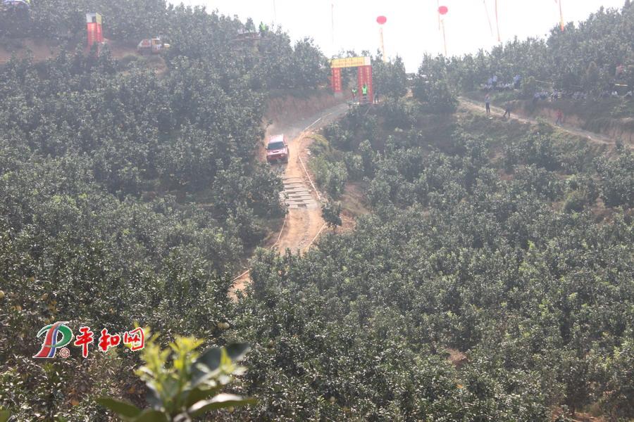 汽車山地越野大獎(jiǎng)賽