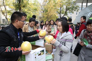 大學生免費品嘗蜜柚活動