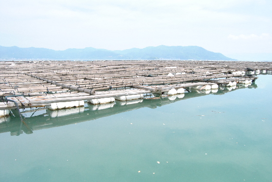 中國南方“海參之都”霞浦 為何海參“優(yōu)質(zhì)難優(yōu)價(jià)”,？