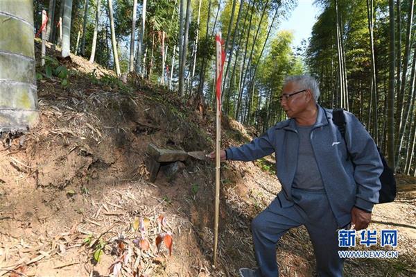 保護無名豐碑——福建武夷山張山頭紅軍墓群