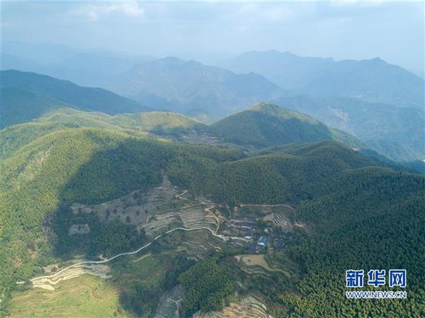 保護無名豐碑——福建武夷山張山頭紅軍墓群