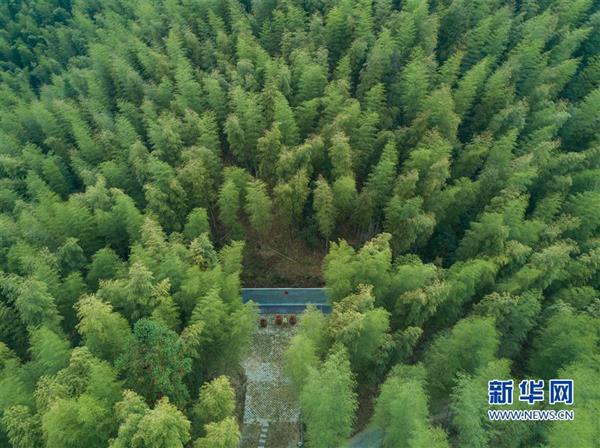 保護無名豐碑——福建武夷山張山頭紅軍墓群