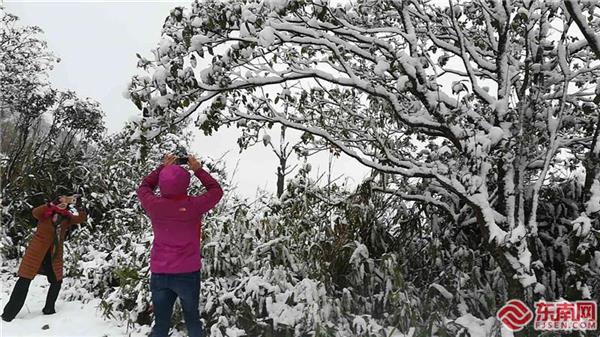 柘榮東獅山迎來降雪