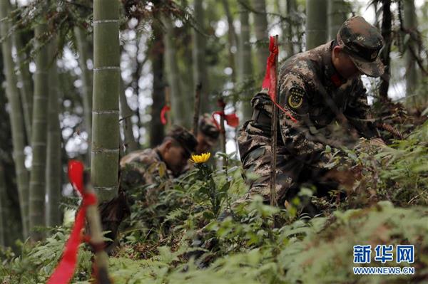 永不遲到的祭奠——追尋1343座無名紅軍墓背后的故事