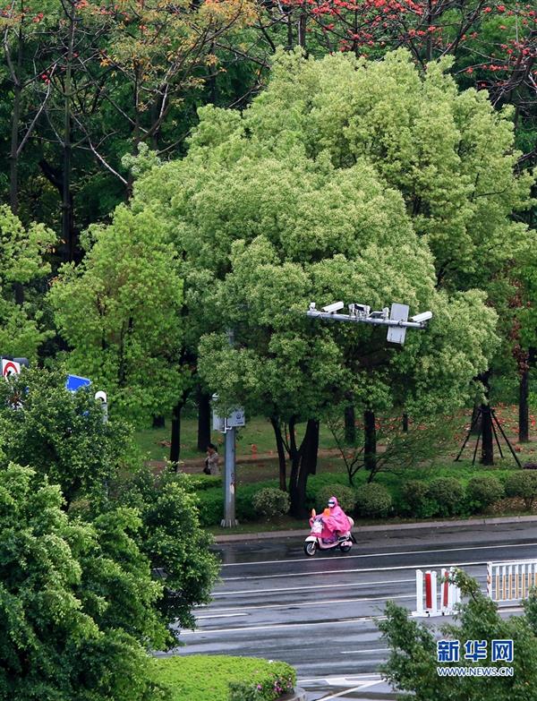 福州：雨中出行