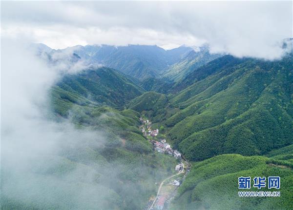 碧水丹山瞰武夷