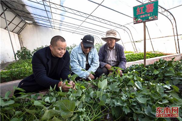 福建省第八批援藏工作隊援藏紀(jì)實：踏雪冰山下 家國在心間