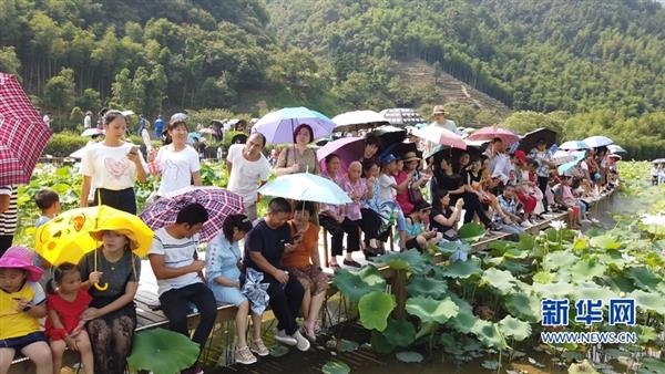 福建政和：荷花節(jié)展示孝廉文化