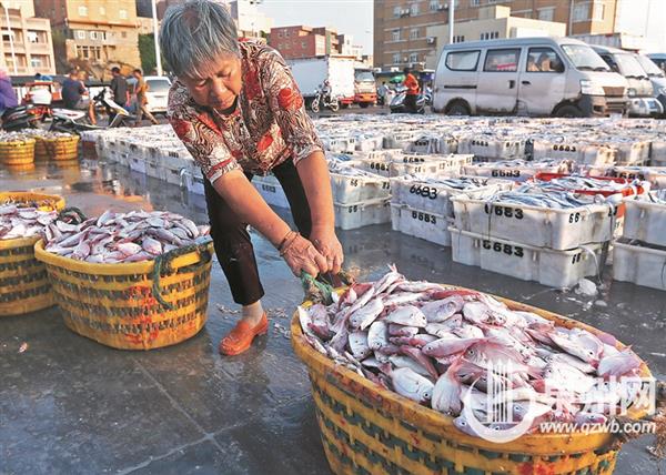 石獅：開漁歸來　市民搶鮮