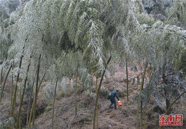 永安上坪鄉(xiāng)：一個人的山村郵路