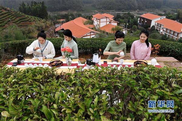 福建武夷山：擺茶席 迎新年