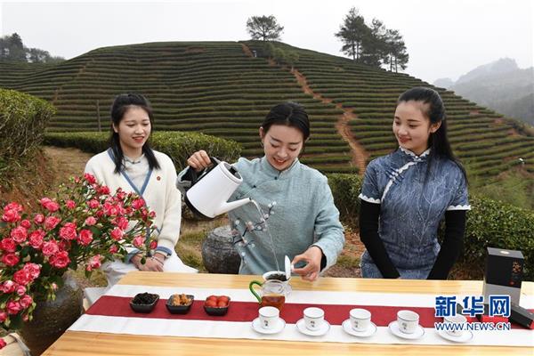 福建武夷山：擺茶席 迎新年