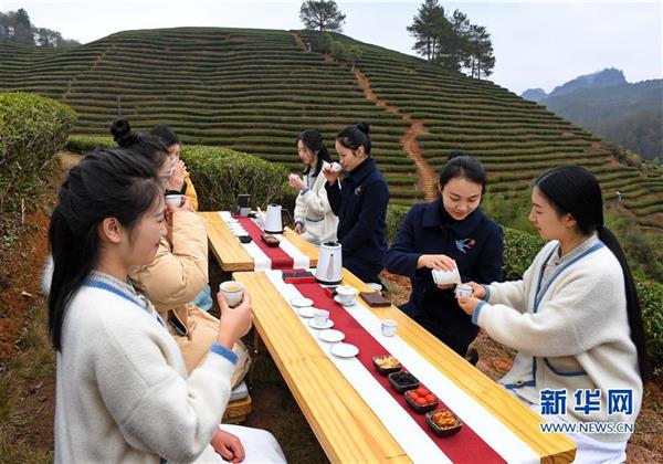 福建武夷山：擺茶席 迎新年