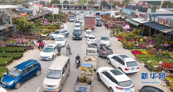 福建漳州：“鮮花經(jīng)濟(jì)”紅紅火火