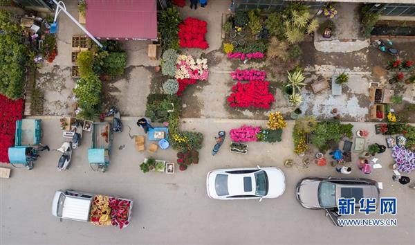 福建漳州：“鮮花經(jīng)濟(jì)”紅紅火火