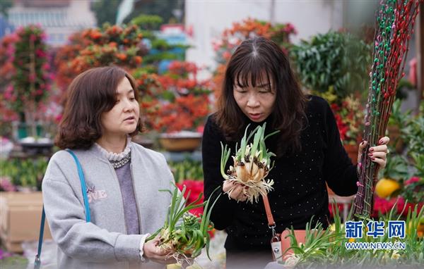 福建漳州：“鮮花經(jīng)濟(jì)”紅紅火火