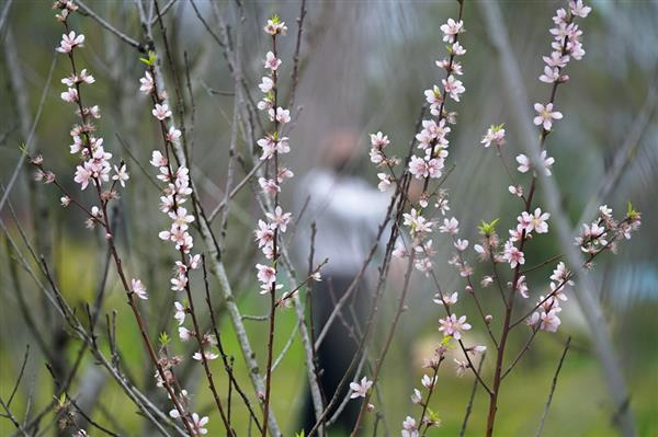 漳州龍文公園陸續(xù)恢復(fù)開放　市民樂享“慢”生活