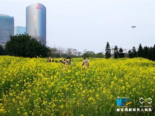 泉州：滿城飛花春意盎然