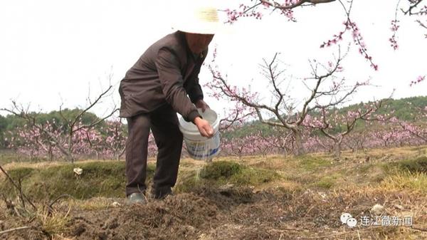 連江長龍的桃花開了！去沾點“桃花運”吧~