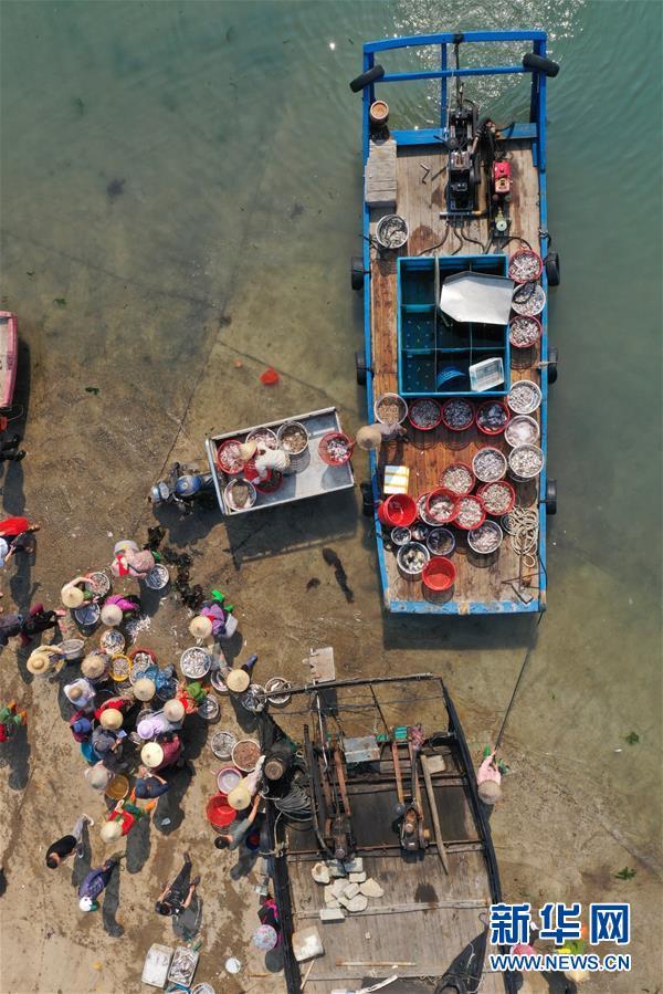 福建漳浦：復(fù)漁復(fù)產(chǎn)漁港忙