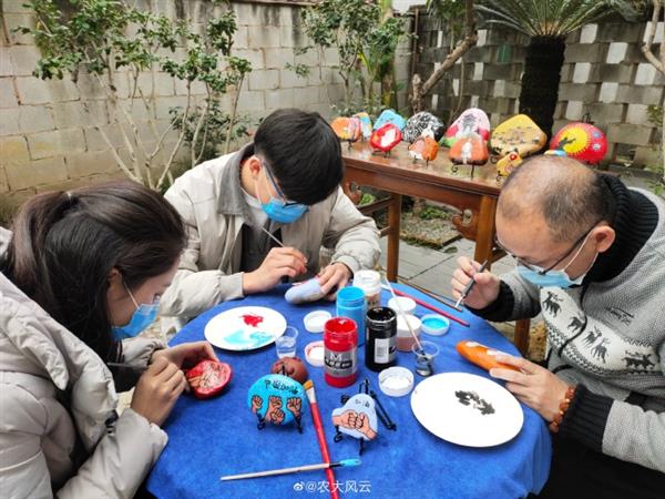 福建農(nóng)林大學(xué)學(xué)子以石頭作畫(huà)  致敬抗疫英雄