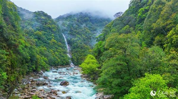 神奇！武夷山發(fā)現(xiàn)“自然代碼”