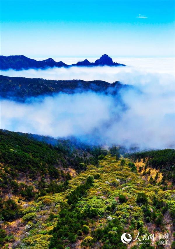 神奇,！武夷山發(fā)現(xiàn)“自然代碼”