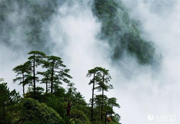 神奇,！武夷山發(fā)現(xiàn)“自然代碼”