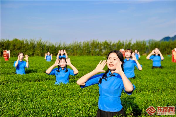 安溪舉辦開茶節(jié)