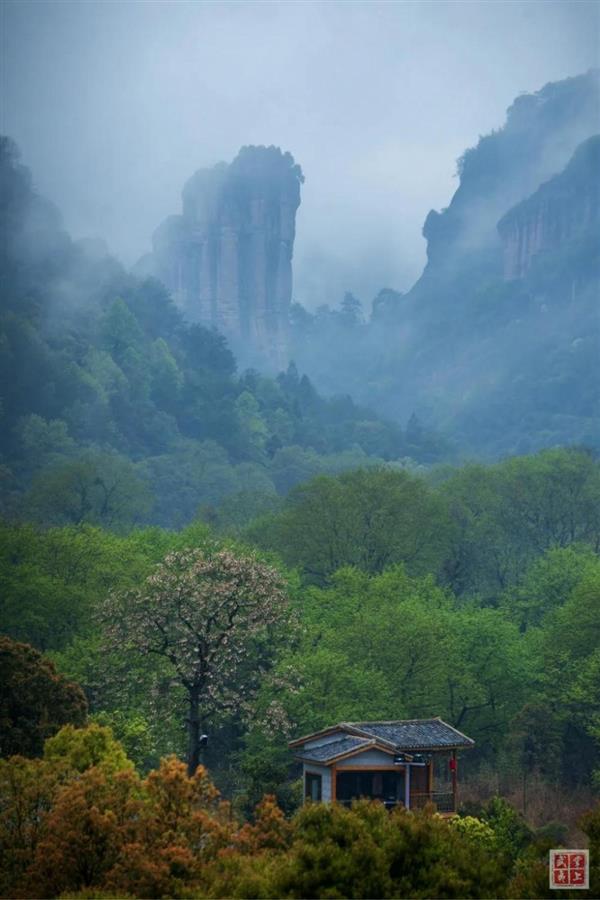 六月武夷：天青色待煙雨來(lái)