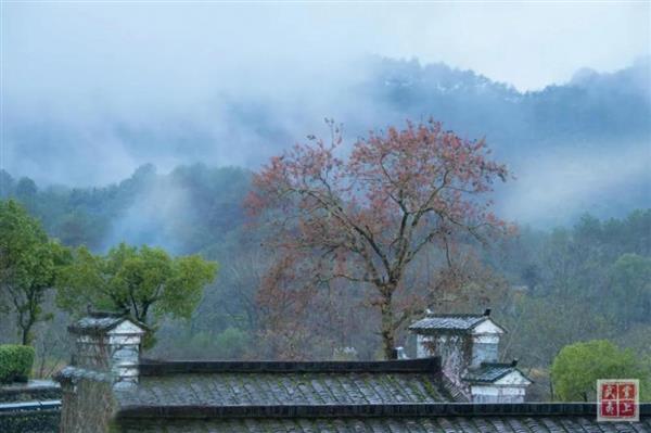 六月武夷：天青色待煙雨來(lái)