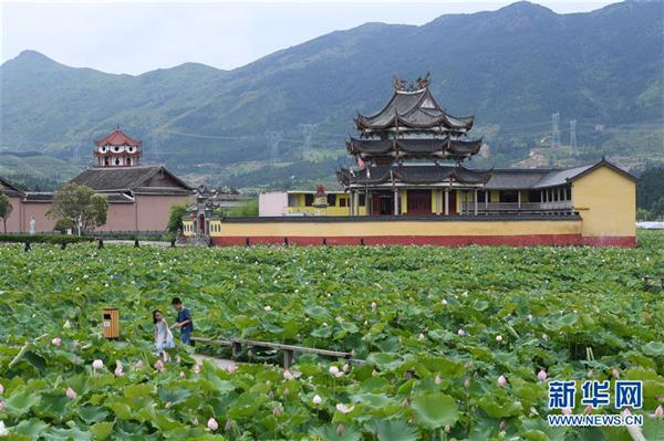 福建浦源：八百年古村續(xù)寫人魚佳話