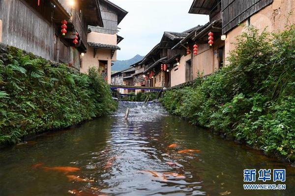 福建浦源：八百年古村續(xù)寫人魚佳話