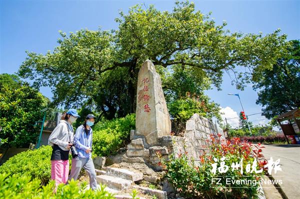 閩侯梧溪村：名村配名勝  “旅游飯”配佛手瓜