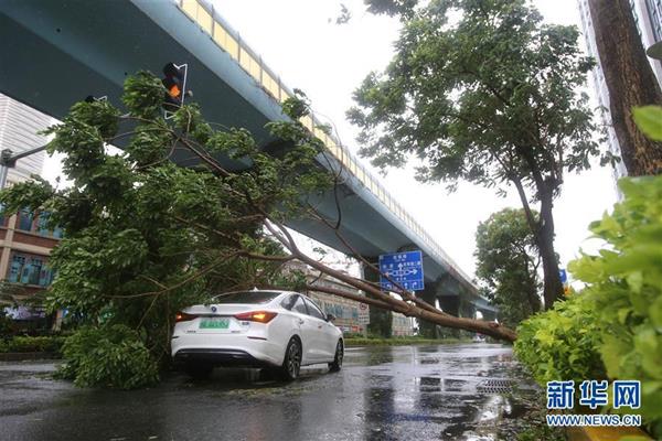 臺風(fēng)“米克拉”登陸福建