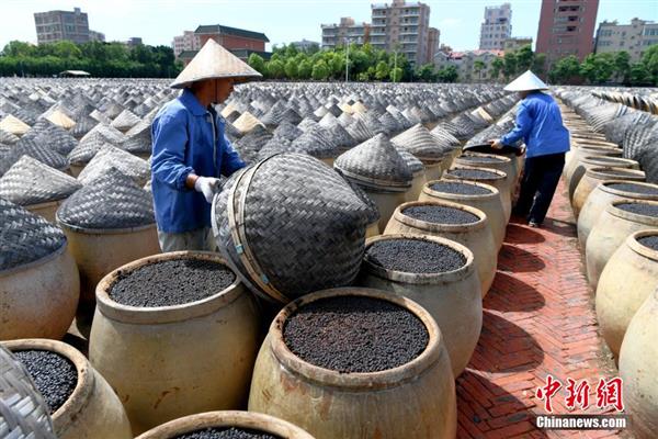 探訪廈門古法醬油釀造技藝：日曬夜露 獨(dú)具匠心