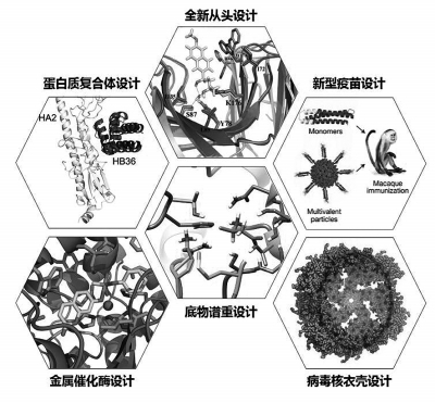 微生物+人工智能：開啟新一代生物制造