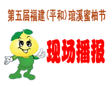 第五屆蜜柚節(jié)