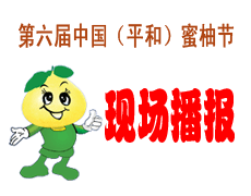 第六屆蜜柚節(jié)